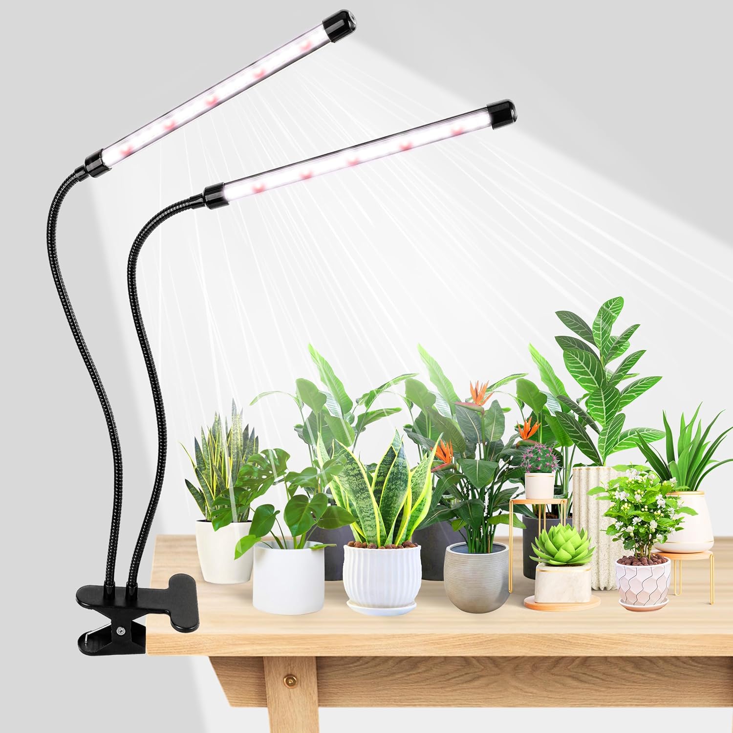 Hydroponic Grow Pod - KEBINCPLED Lampe de culture LED USB