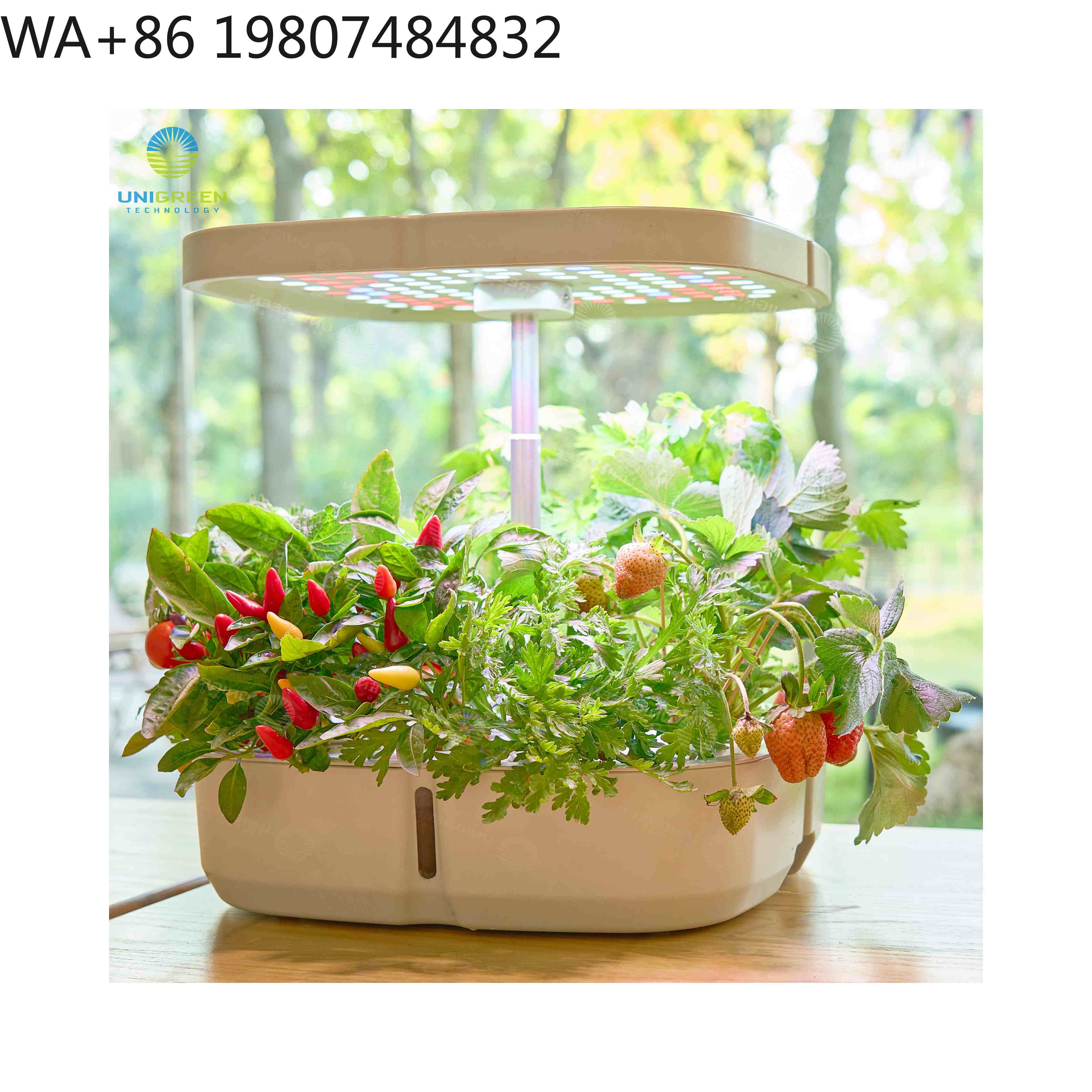 Hydroponic Grow Pod - Kit de culture hydroponique miniature 8