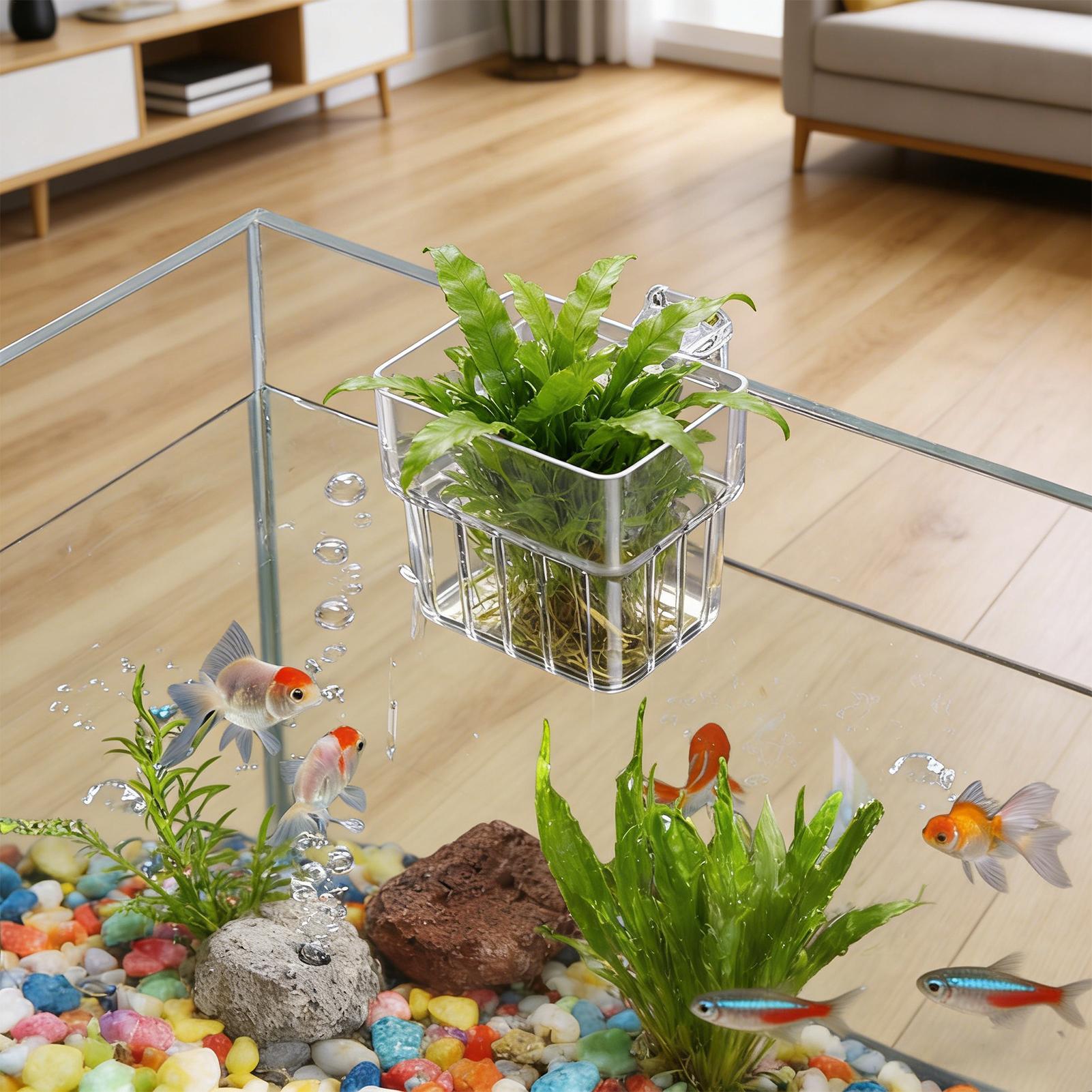 Hydroponic Grow Pod - Pot de culture suspendu transparent pour