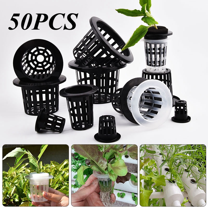 Hydroponic Grow Pod - 50 pièces de pots de culture