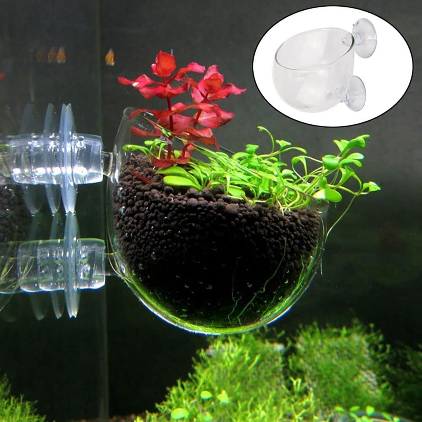 Hydroponic Grow Pod - Pot de plantes aquatiques en acrylique
