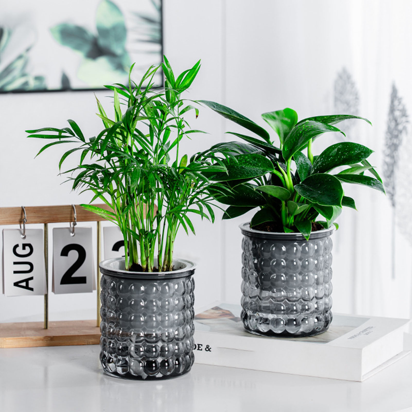 Hydroponic Grow Pod - Pot de plantes hydroponiques à arrosage