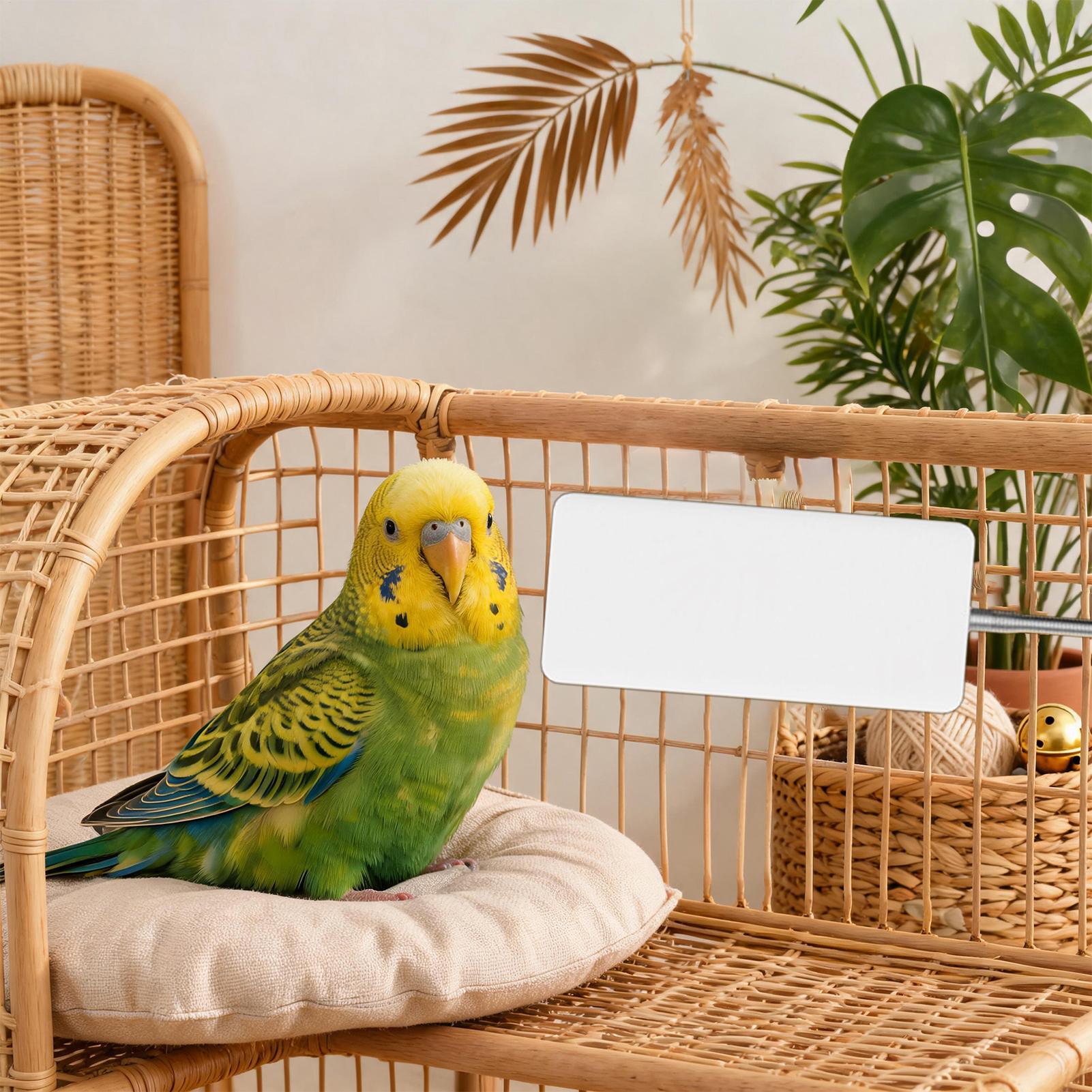 Smart Garden Bird Bath - Chauffe-oiseaux 5V sûr pour animaux de