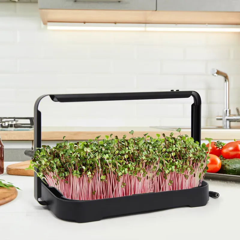 Smart Garden Kit - Bac hydroponique pour micro-légumes d'intérieur, système