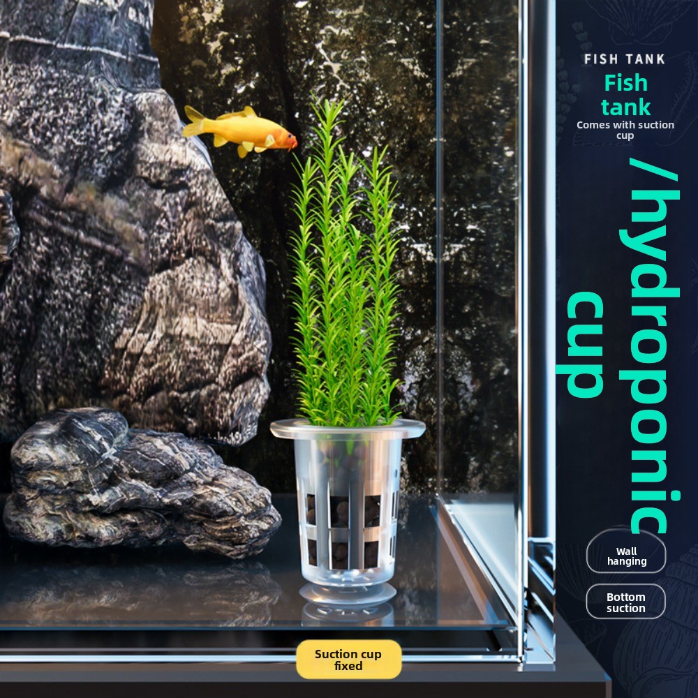 10 pots hydroponiques transpar - Hydroponic Grow Pod avis et prix