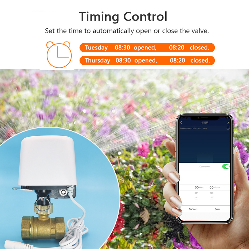 Vanne d'eau intelligente Tuya  - Smart Garden Timer avis et prix