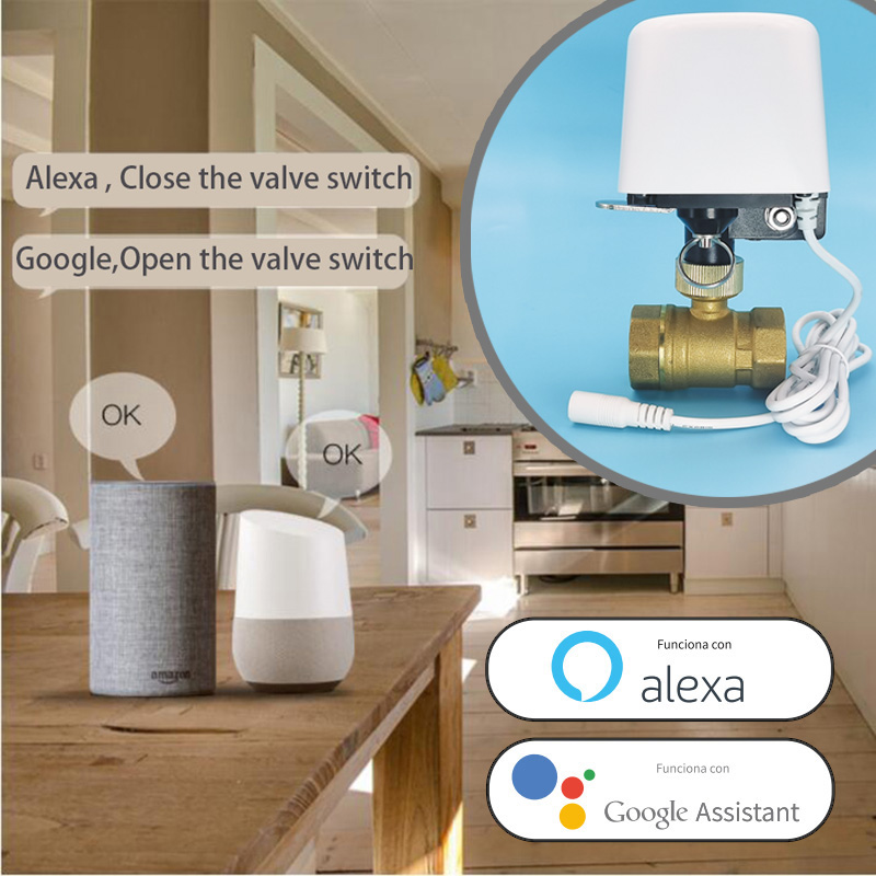 Vanne d'eau intelligente Tuya  - Smart Garden Timer avis et prix