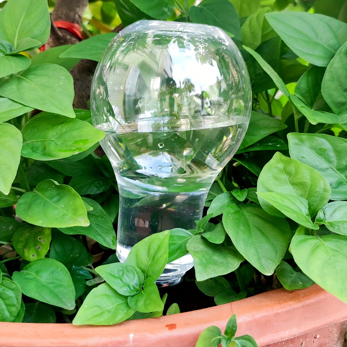 Outil d'arrosage automatique d - Smart Garden Kit avis et prix