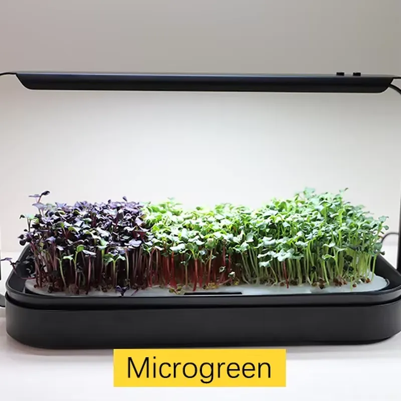 Plantes d'intérieur, kit de cu - Smart Garden Kit avis et prix