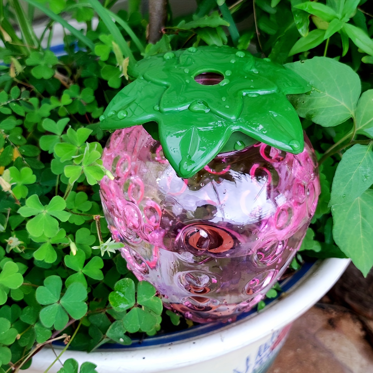 Outil d'arrosage automatique,  - Smart Garden Kit avis et prix