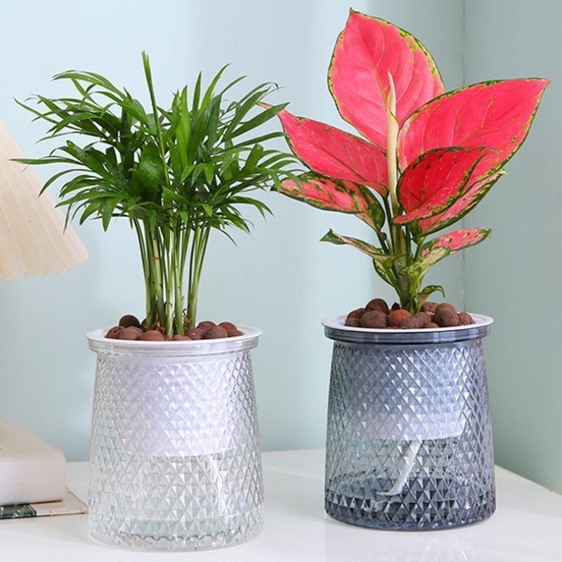 Pot de fleurs hydroponique Tra - Hydroponic Grow Pod avis et prix