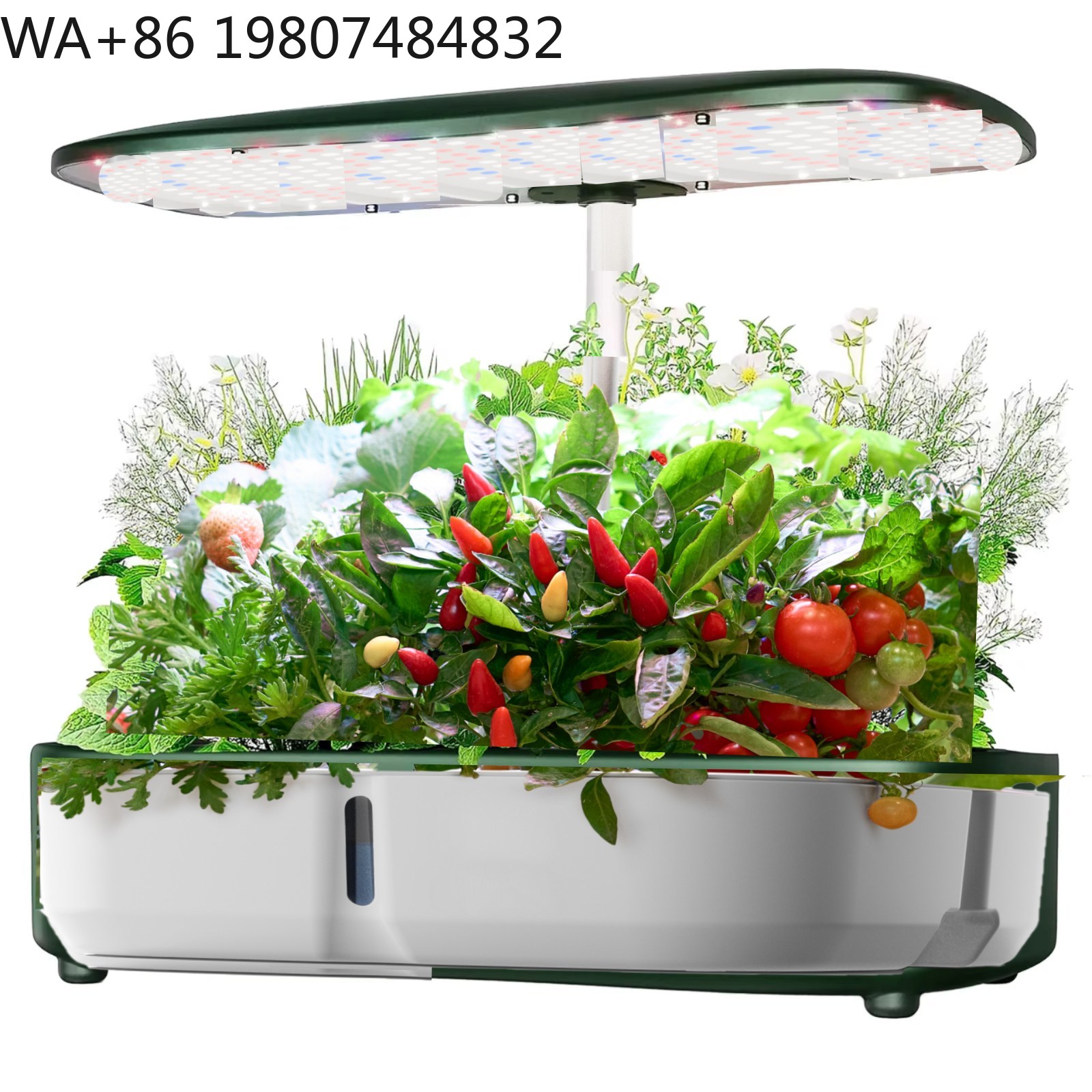 Kit de culture hydroponique mi - Hydroponic Grow Pod avis et prix