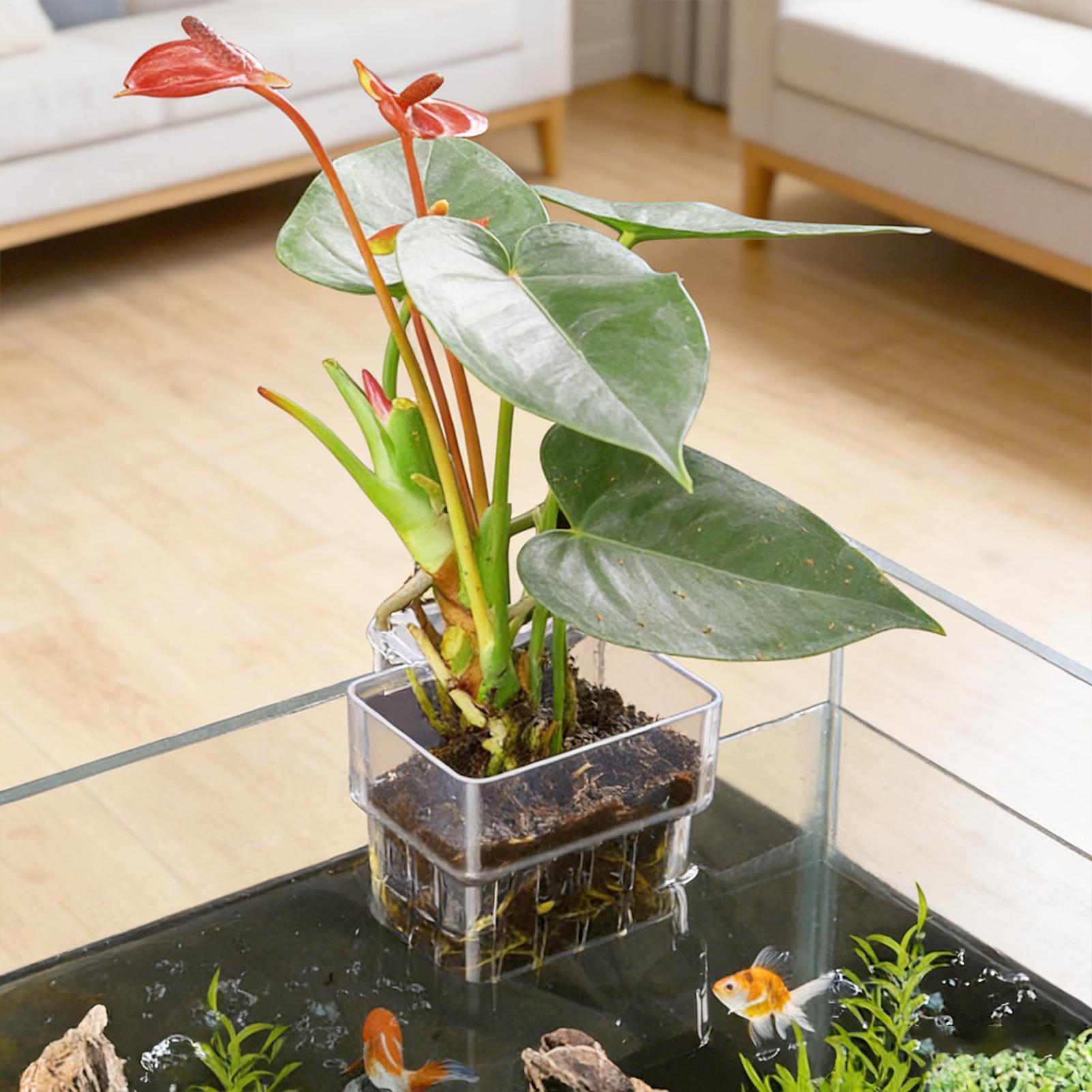 Pot de culture suspendu transp - Hydroponic Grow Pod avis et prix