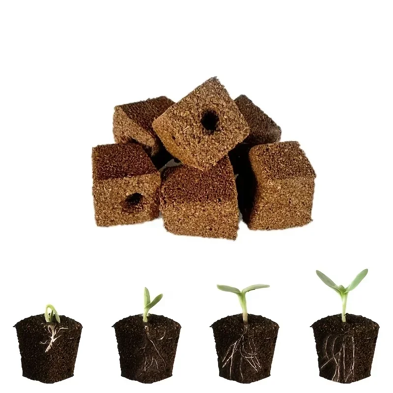 Kit de démarrage de semis en é - Hydroponic Grow Pod avis et prix