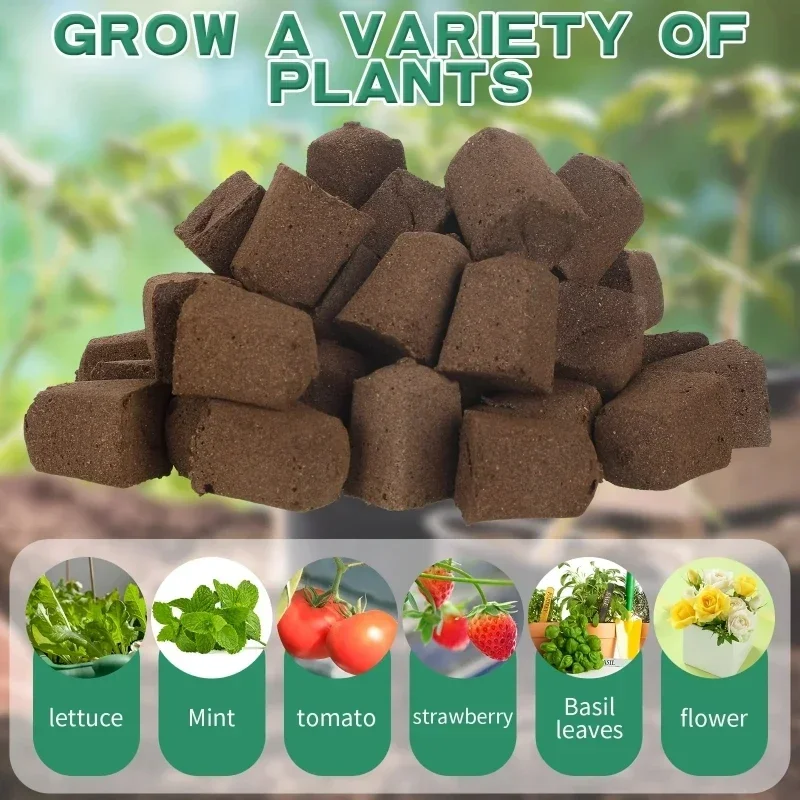 Kit de démarrage de semis en é - Hydroponic Grow Pod avis et prix