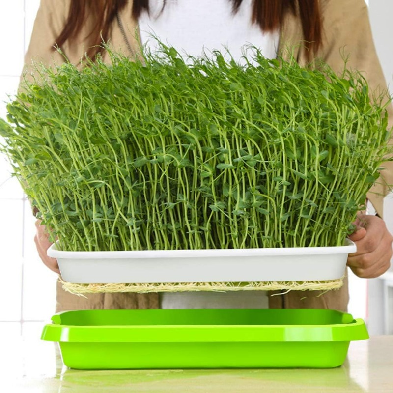 Plateau de germination pour mi - Hydroponic Grow Pod avis et prix