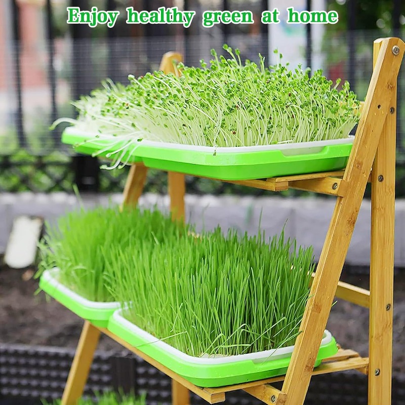 Plateau de germination pour mi - Hydroponic Grow Pod avis et prix
