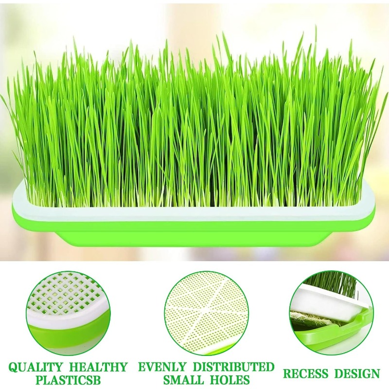 Plateau de germination pour mi - Hydroponic Grow Pod avis et prix