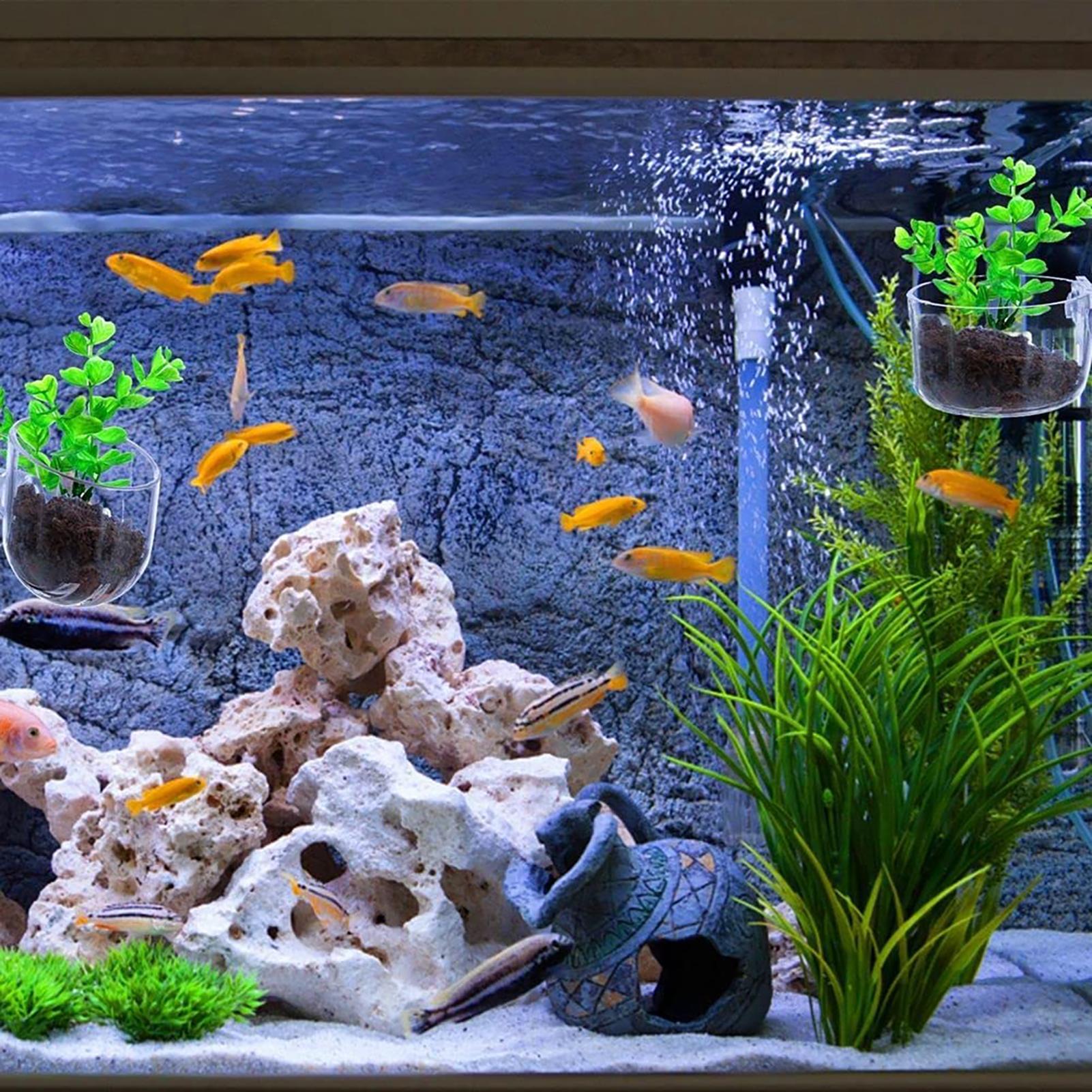 Pot de plantes aquatiques en a - Hydroponic Grow Pod avis et prix