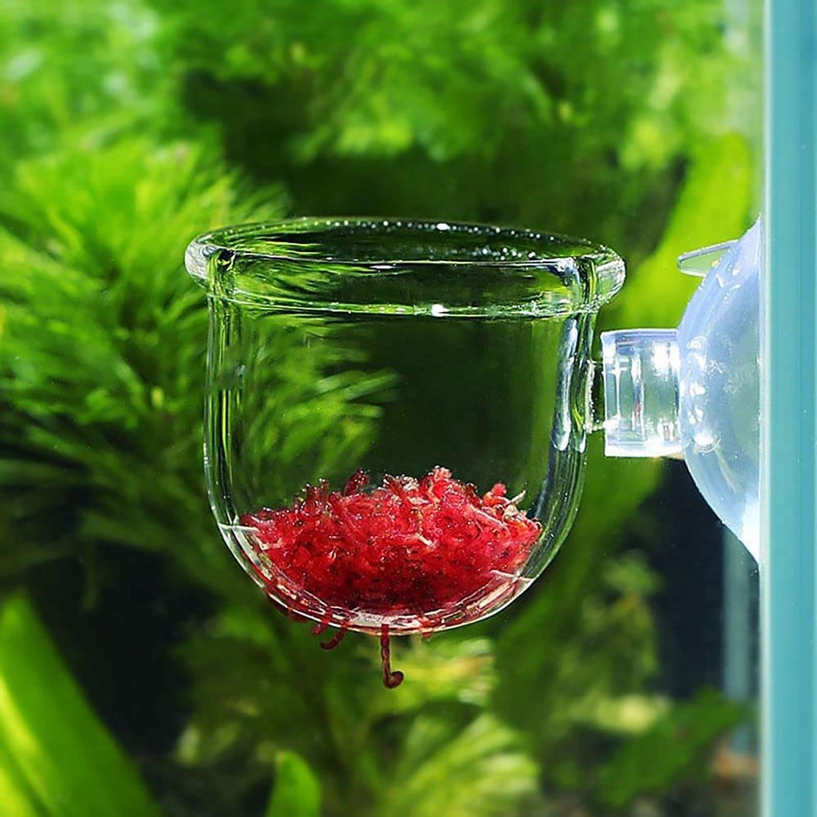Pot de plantes aquatiques en a - Hydroponic Grow Pod avis et prix
