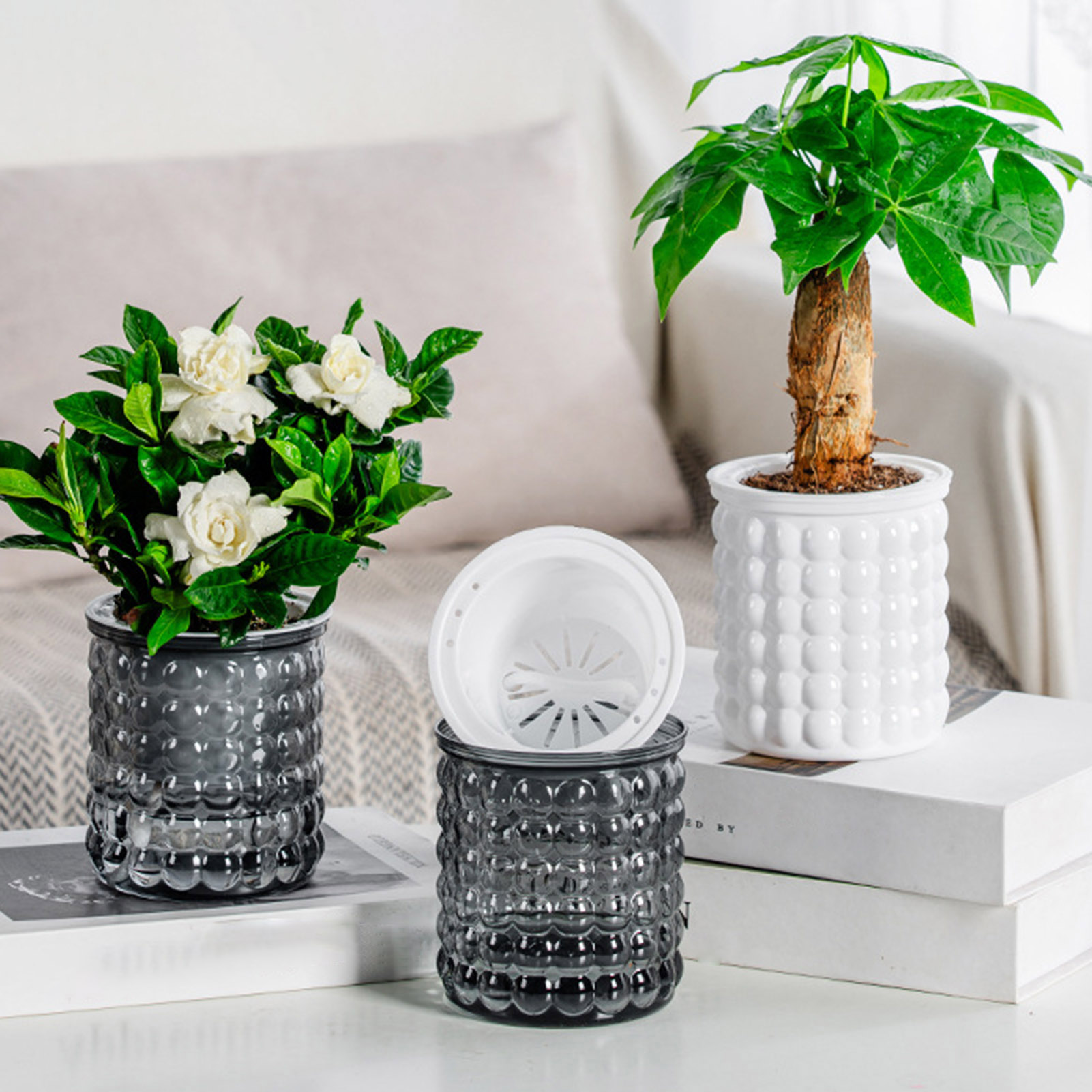Pot de plantes hydroponiques à - Hydroponic Grow Pod avis et prix