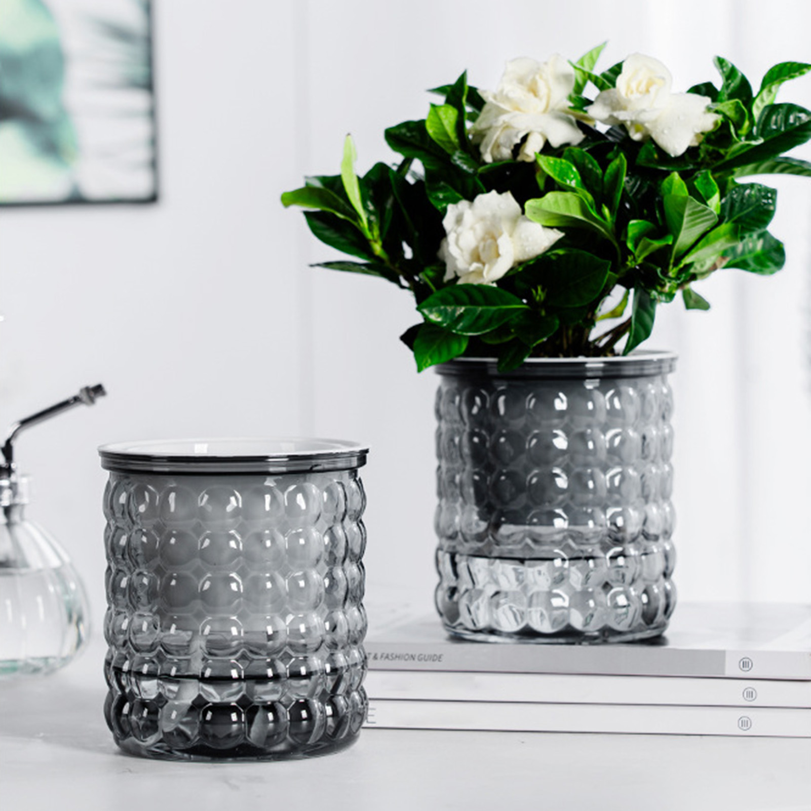 Pot de plantes hydroponiques à - Hydroponic Grow Pod avis et prix