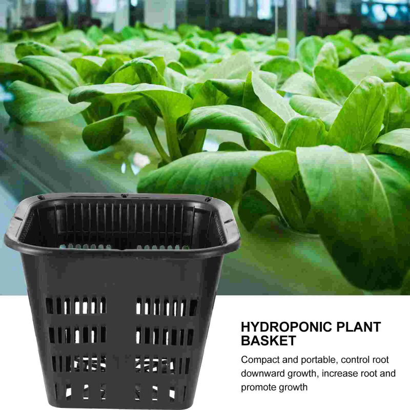 6 paniers de culture hydroponi - Hydroponic Grow Pod avis et prix