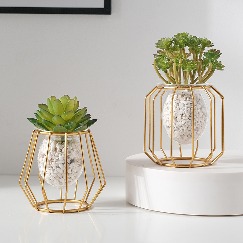Vase hydroponique créatif pour - Hydroponic Grow Pod avis et prix
